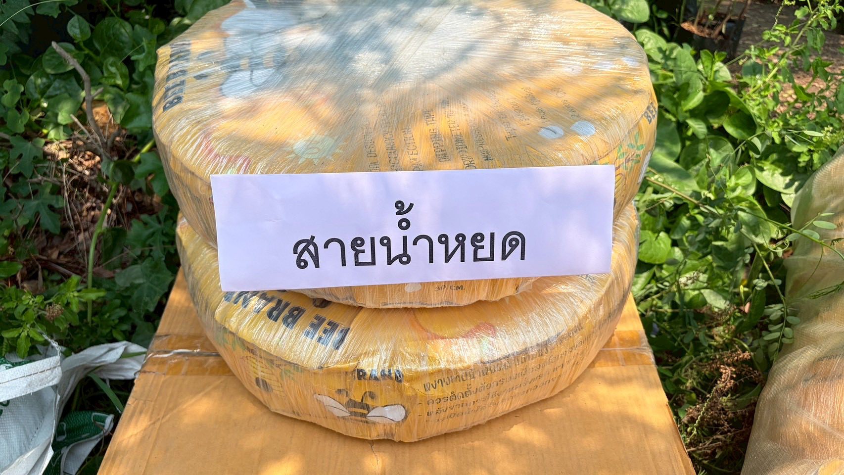 title - ส.ป.ก.อ่างทอง แจกปัจจัยการผลิตและกล้าพันธุ์ไม้สมุนไพรให้แก่เกษตรกร จำนวน 10 ราย ในโครงการเกษตรชีวภาพประจำปีงบประมาณ 2569